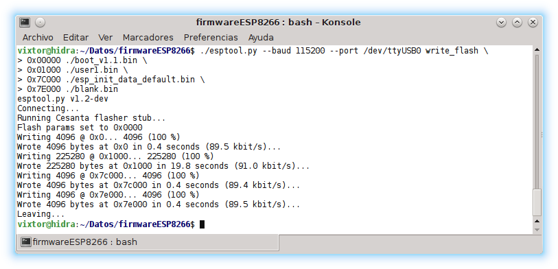 wifi ESP8266 firmware actualización consola esptool captura